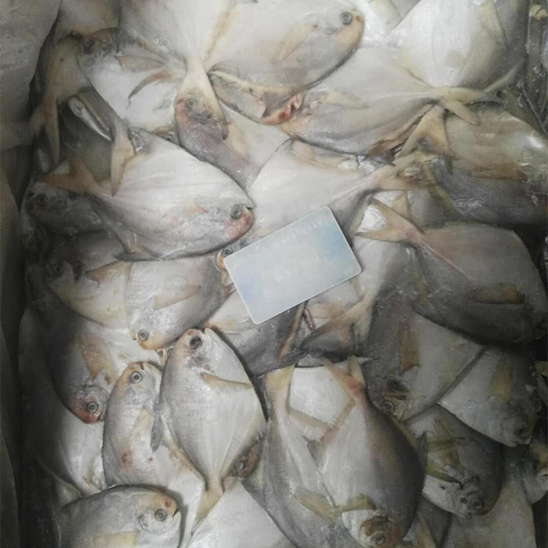 板冻鲳鱼 板冻鲳鱼