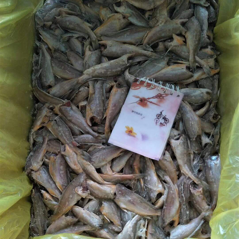 去头黄花鱼 去头黄花鱼