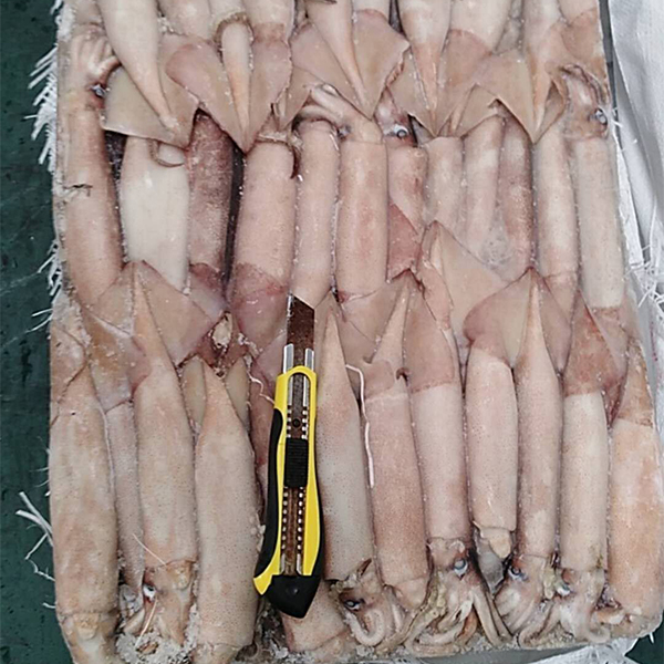 板冻鱿鱼 板冻鱿鱼