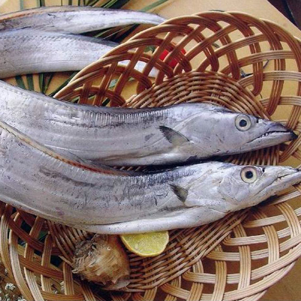 餐桌带鱼 餐桌带鱼